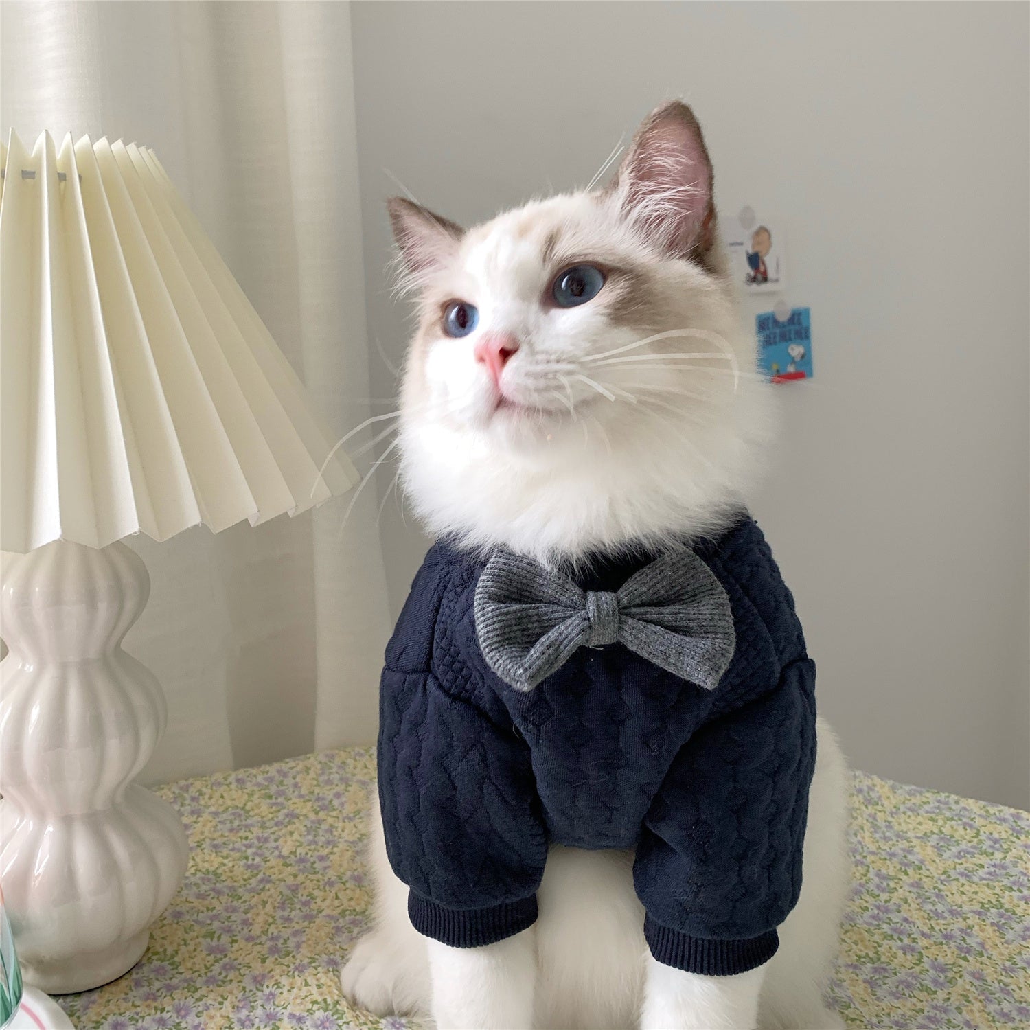 pet clothes style